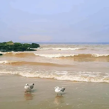 In Near The Beach, Cleaning Included * Nieuwpoort